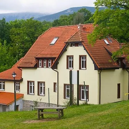 Slonecznik